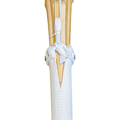 NITOU RYUU - SHOTO - SHINAI