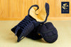 ICHI 2 PREMIUM - KOTE